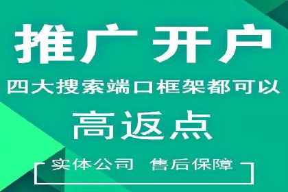 百度推广运营成功故事：品牌与效果的双重胜利